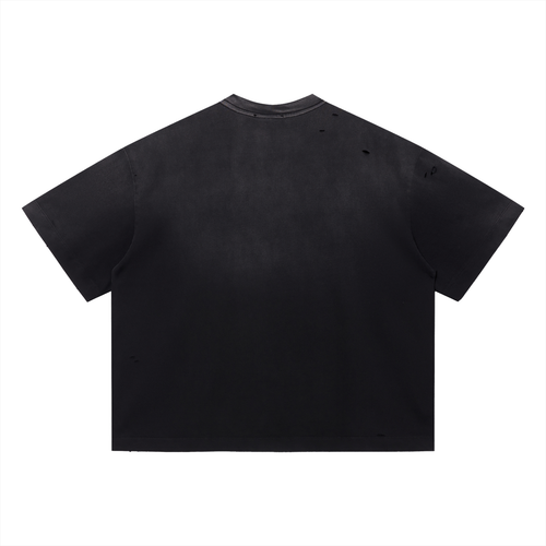 A Dollar & A Dream (Boxy) T-Shirt